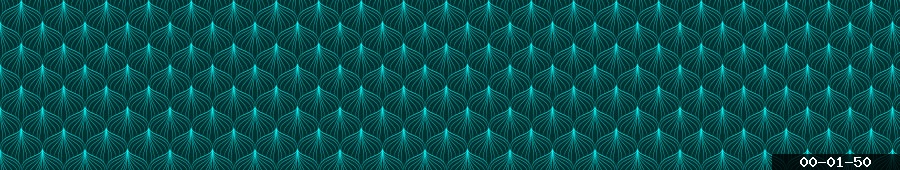 00-01-50.jpg